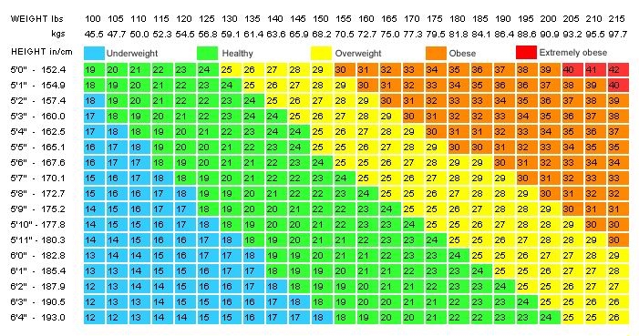 Body Mass Index Chart In Kg And Feet